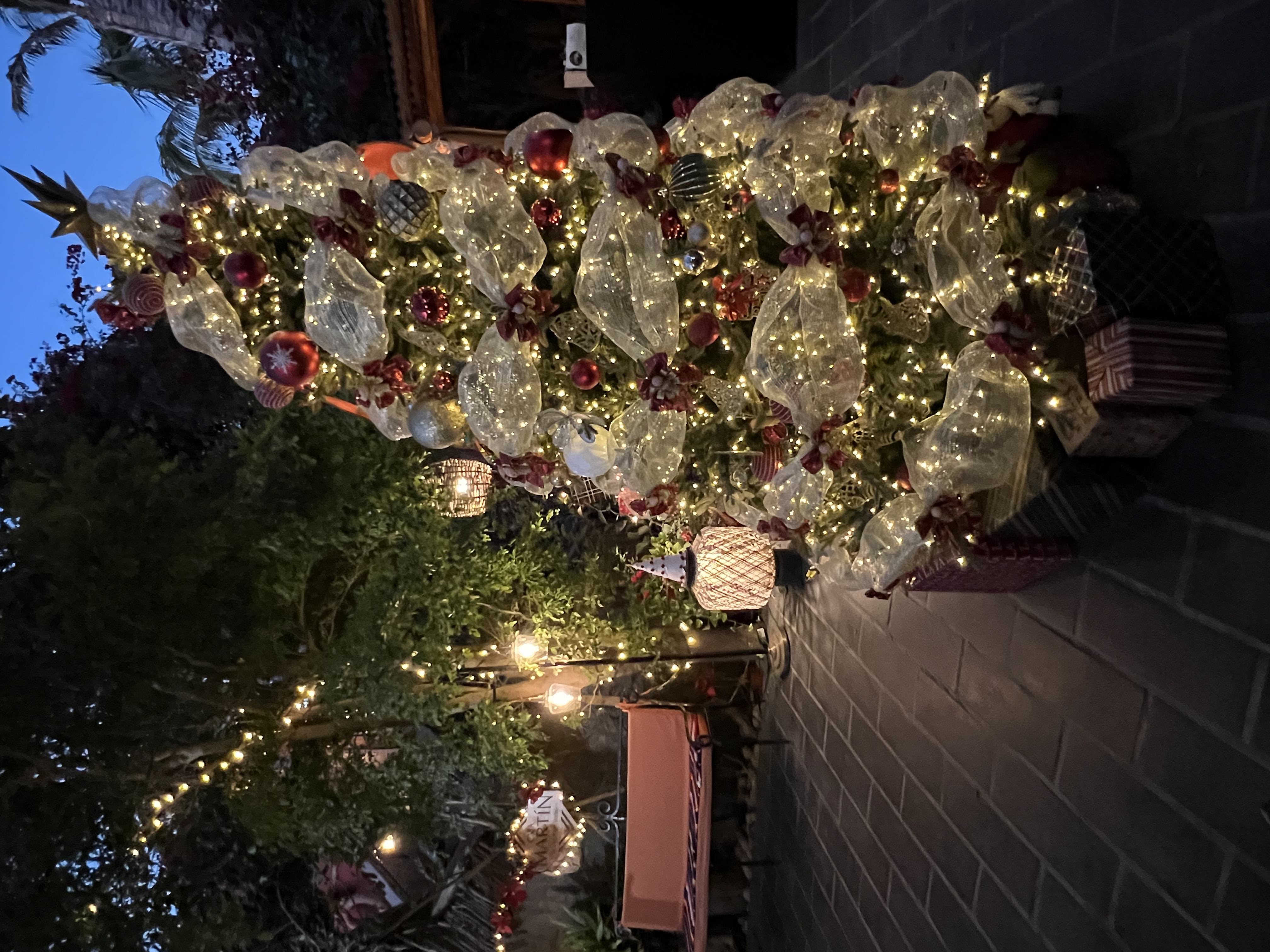 ./2024/13 - Cabo/IMG_4901.jpg